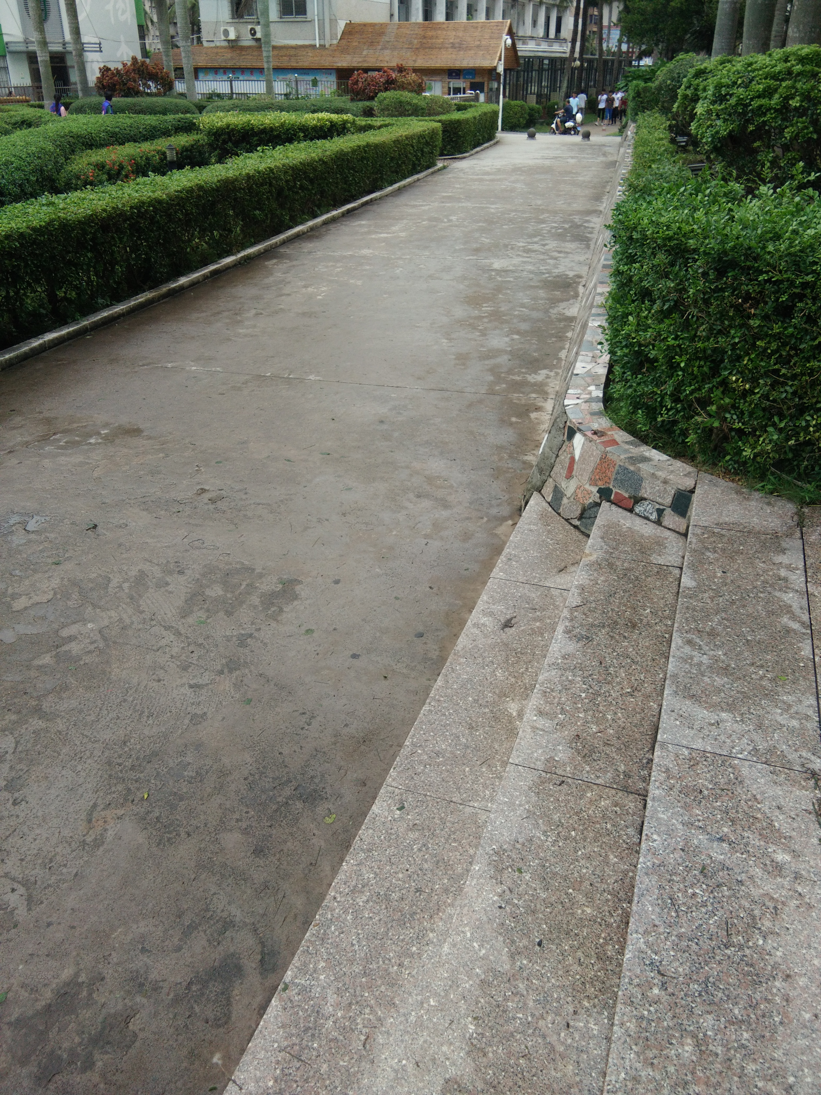 台风过后，暖心清扫 ――记我院志愿者开展校园清扫活动