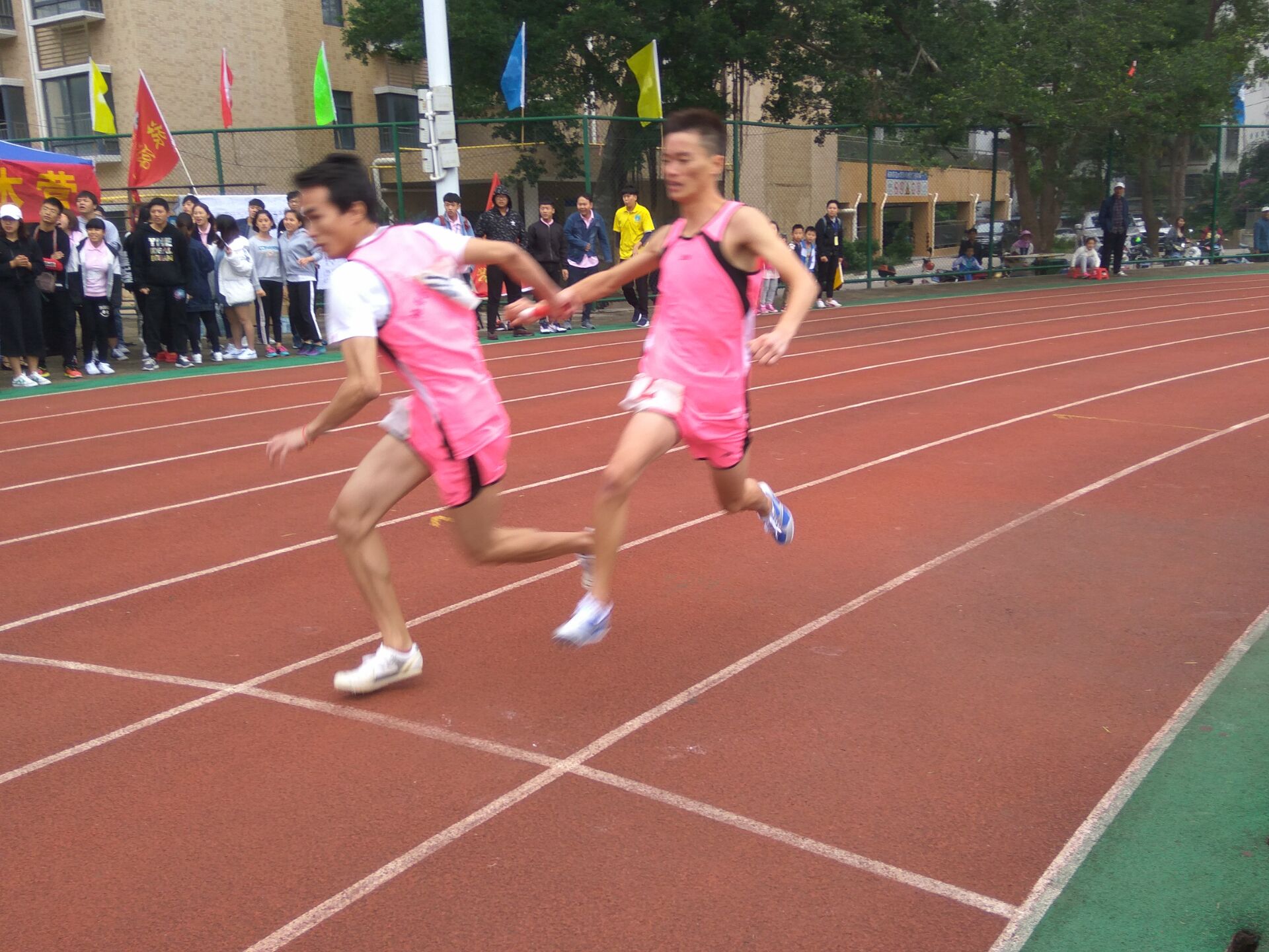 我院在校第34届校运会中喜获佳绩