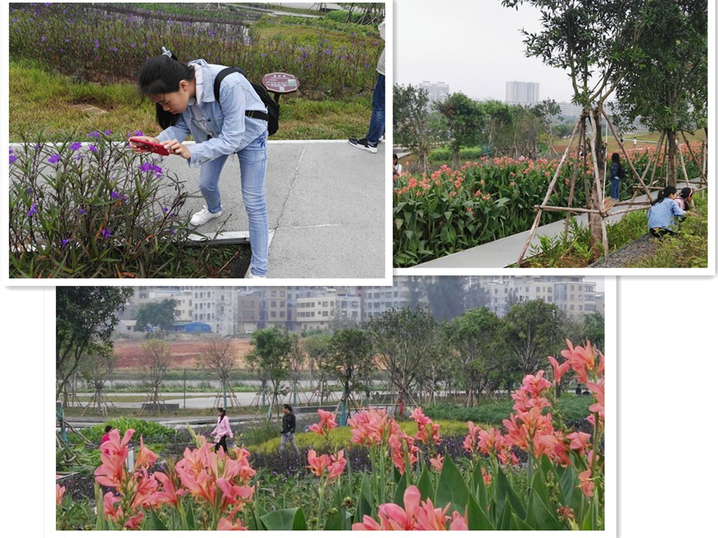 【创新创业实践周】系列活动之九：2016级城乡规划班美舍河环境治理调研