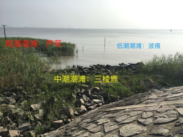 我院学子参加2018年第十届全国地理学国家理科人才培养基地联合实习