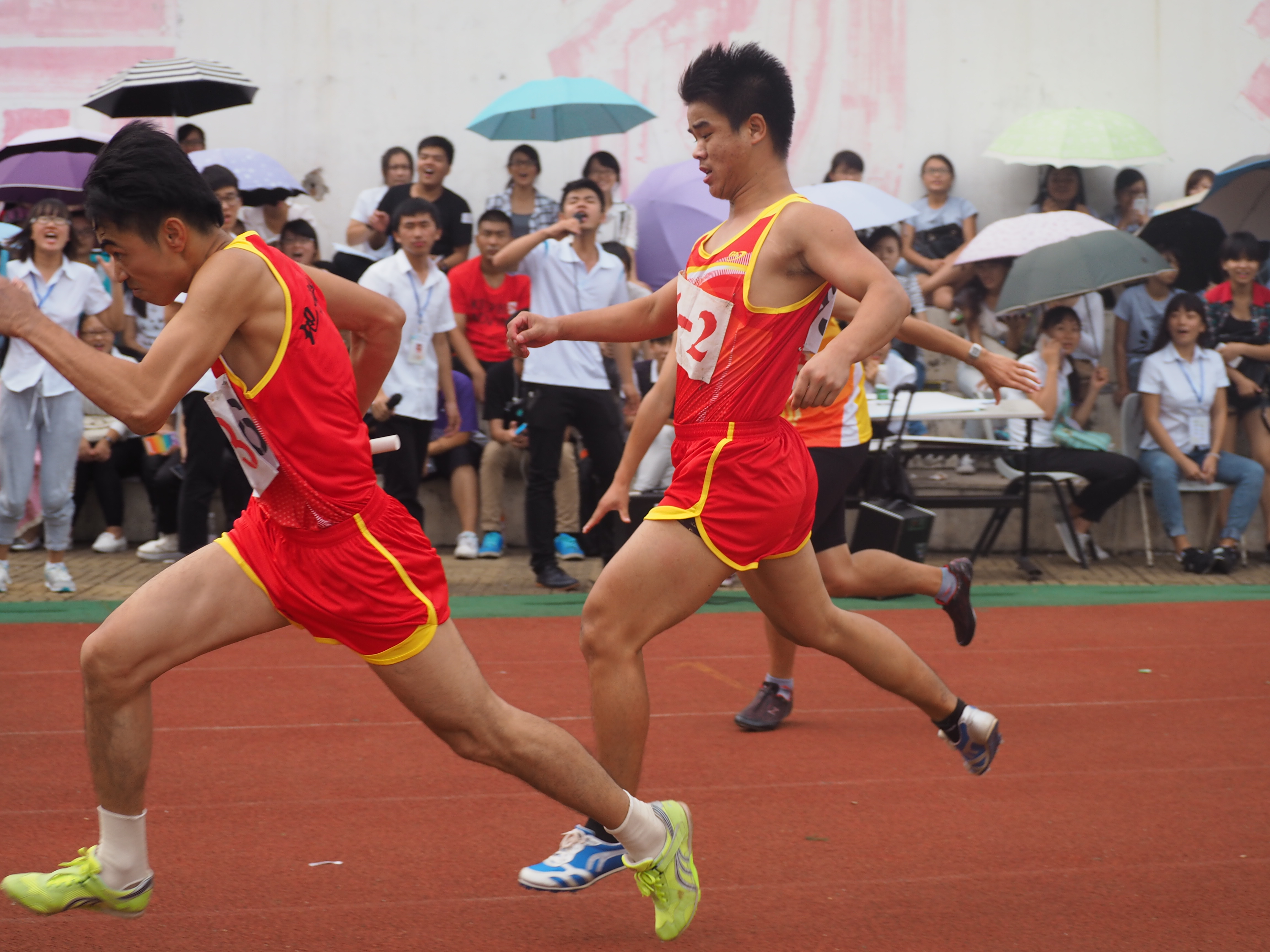 我院在第31届校田径运动会中喜获佳绩