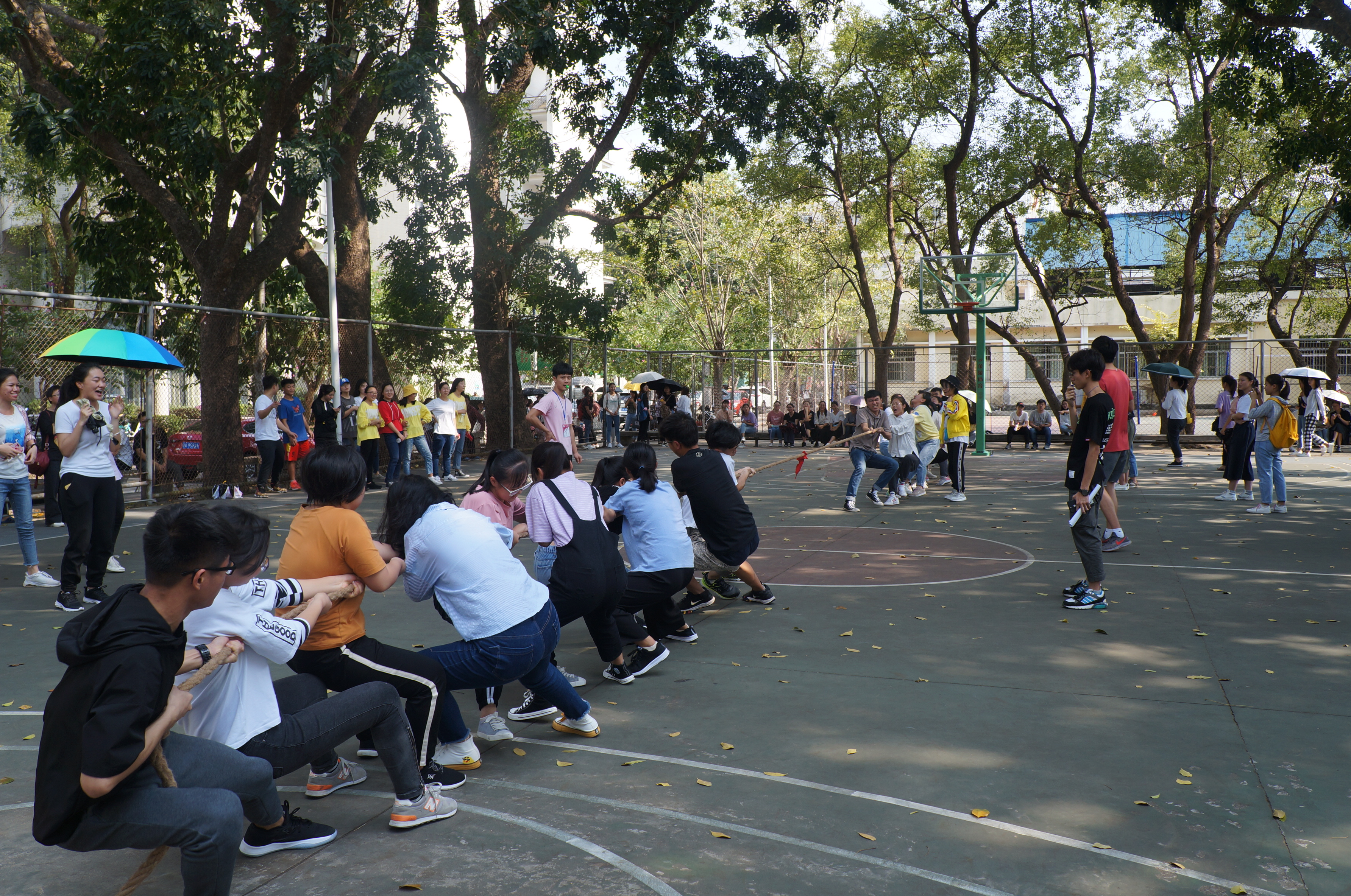 同心同力，赛出风采——我院成功举办3.7女生节拔河友谊赛